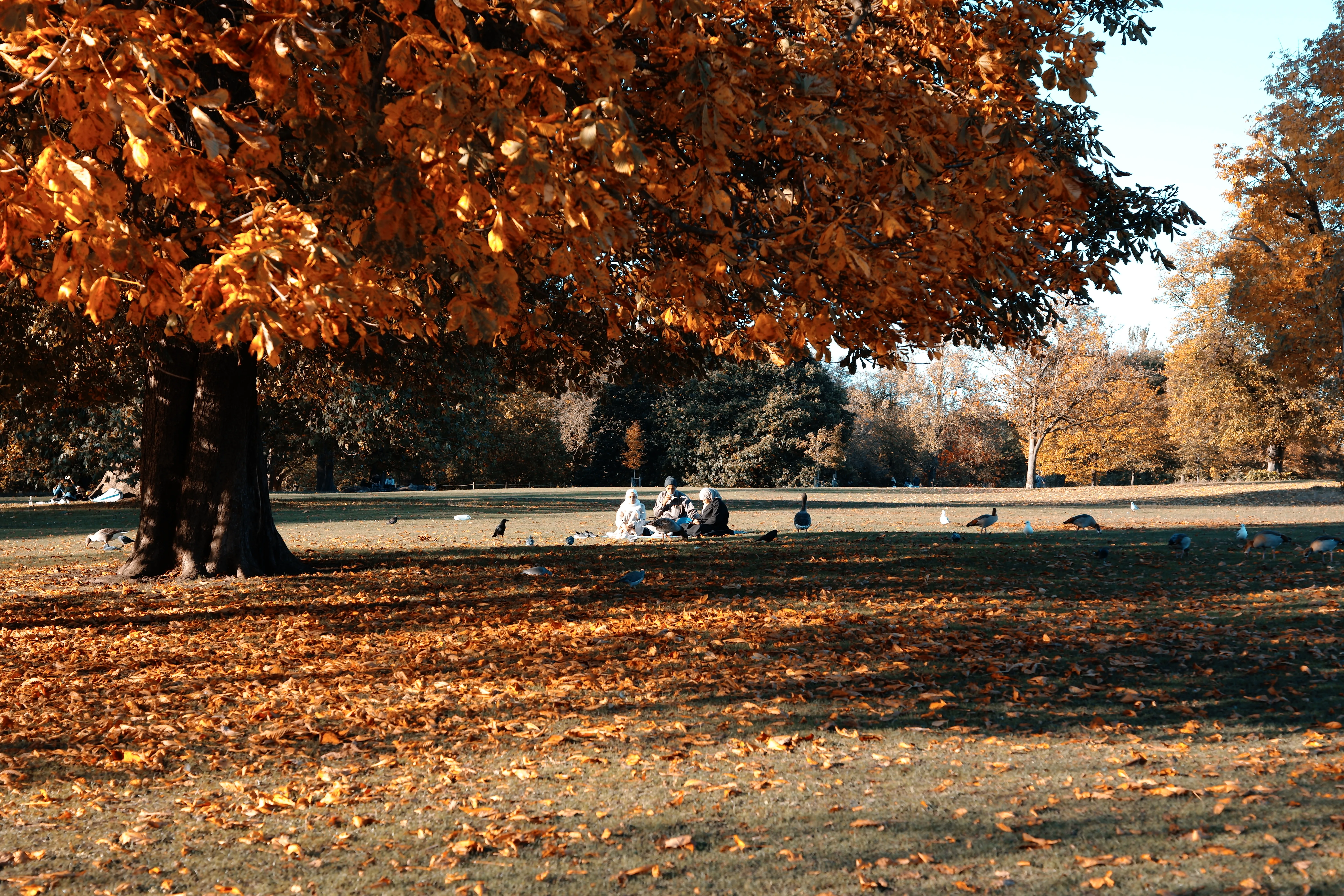 Hyde Park